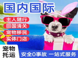 五台山机场托运国际宠物托运 【国